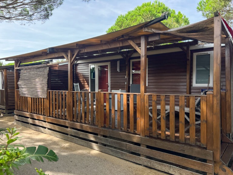 AZALEE EXTERIEUR - ROBRECHT