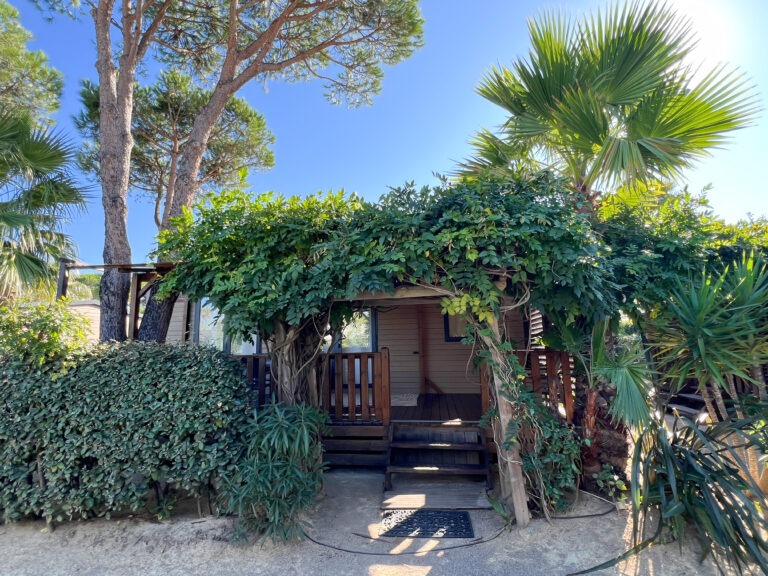 OHARA 2 EXTERIEUR 1 ROBRECHT