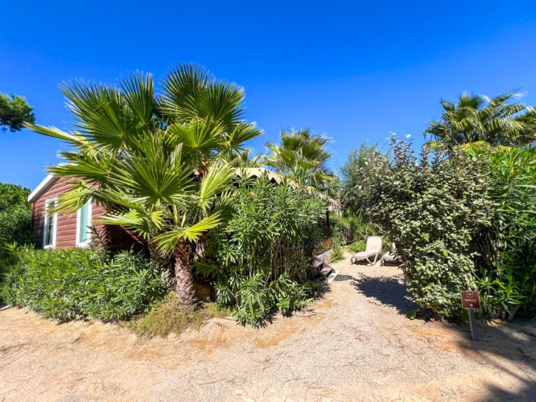 Super Mercure 3 SUPER MERCURE EXTERIEUR 3 - ROBRECHT