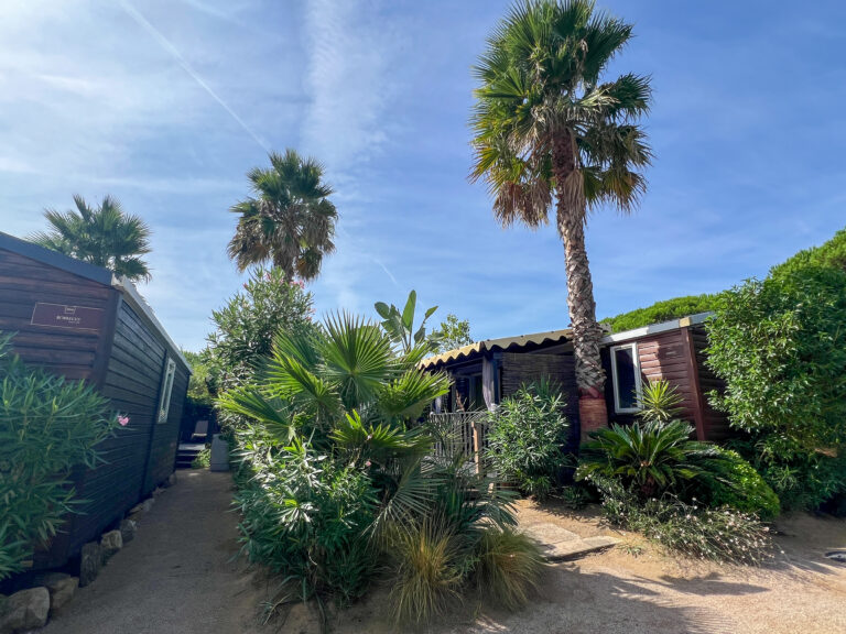 Super Titania 4 SUPER TITANIA EXTERIEUR 2 - ROBRECHT