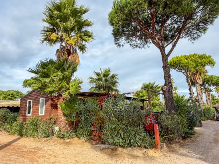 AZALEE + EXTERIEUR 1 - ROBRECHT