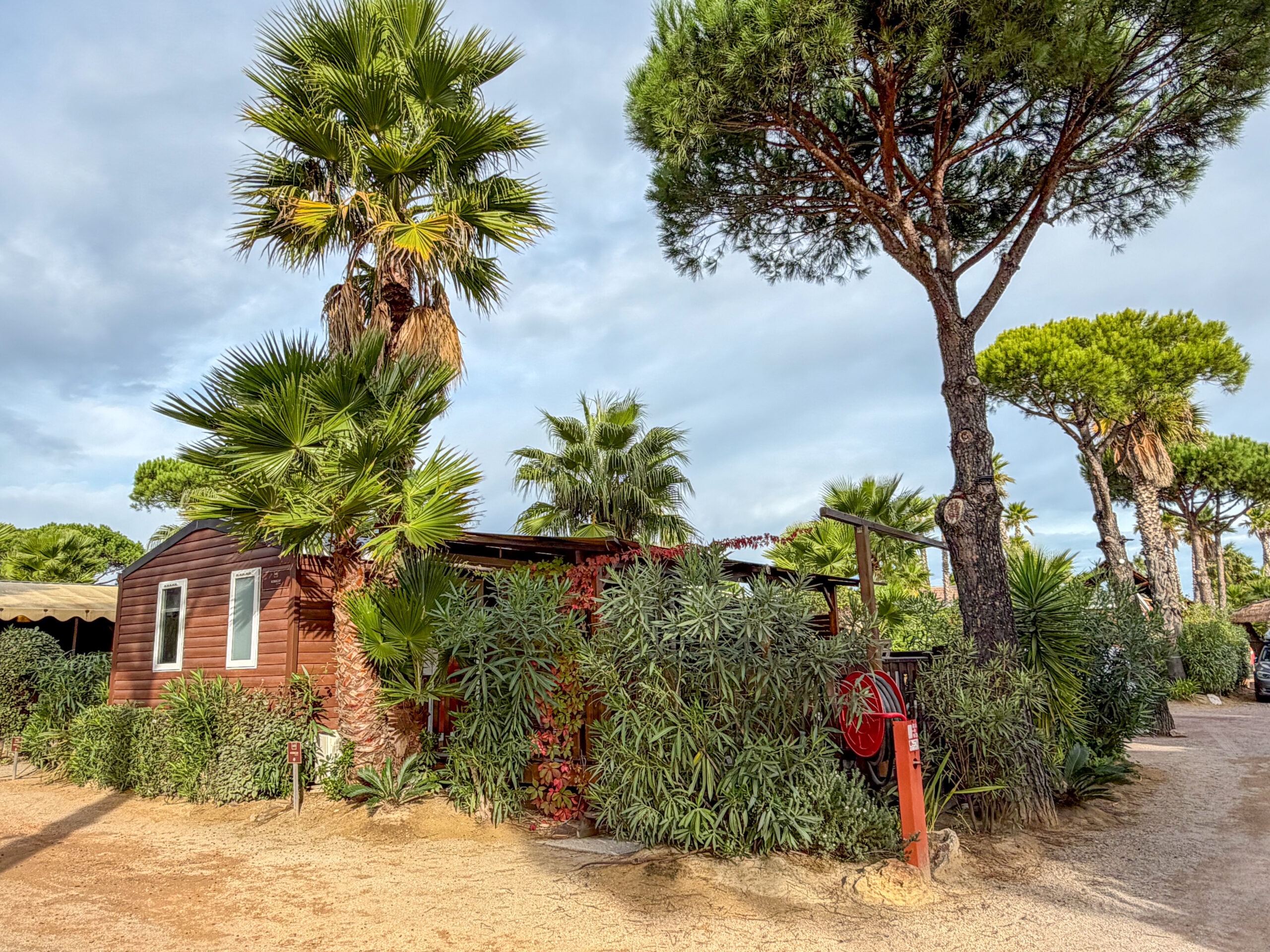 AZALEE + EXTERIEUR 1 - ROBRECHT